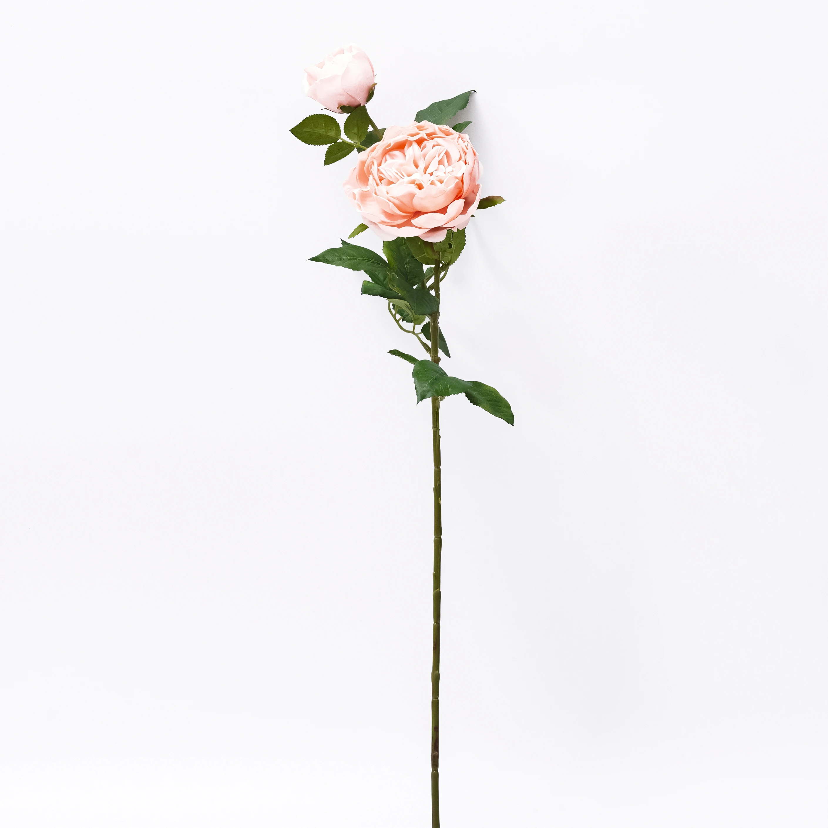 2022 Hight quality artificial champagne rose for wedding decor or  wall decor
