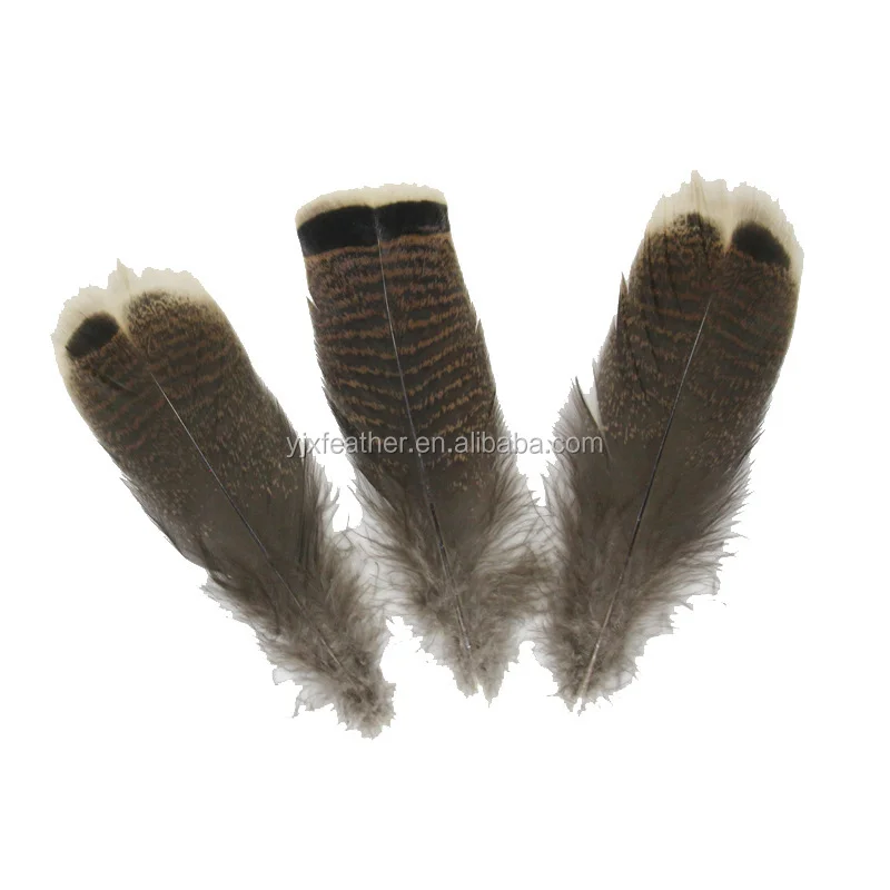 Natural color Turkey feathers  Turkey Wing  Quill Feathers for Crafts Carnival Jewelry Handicrafts Accessories