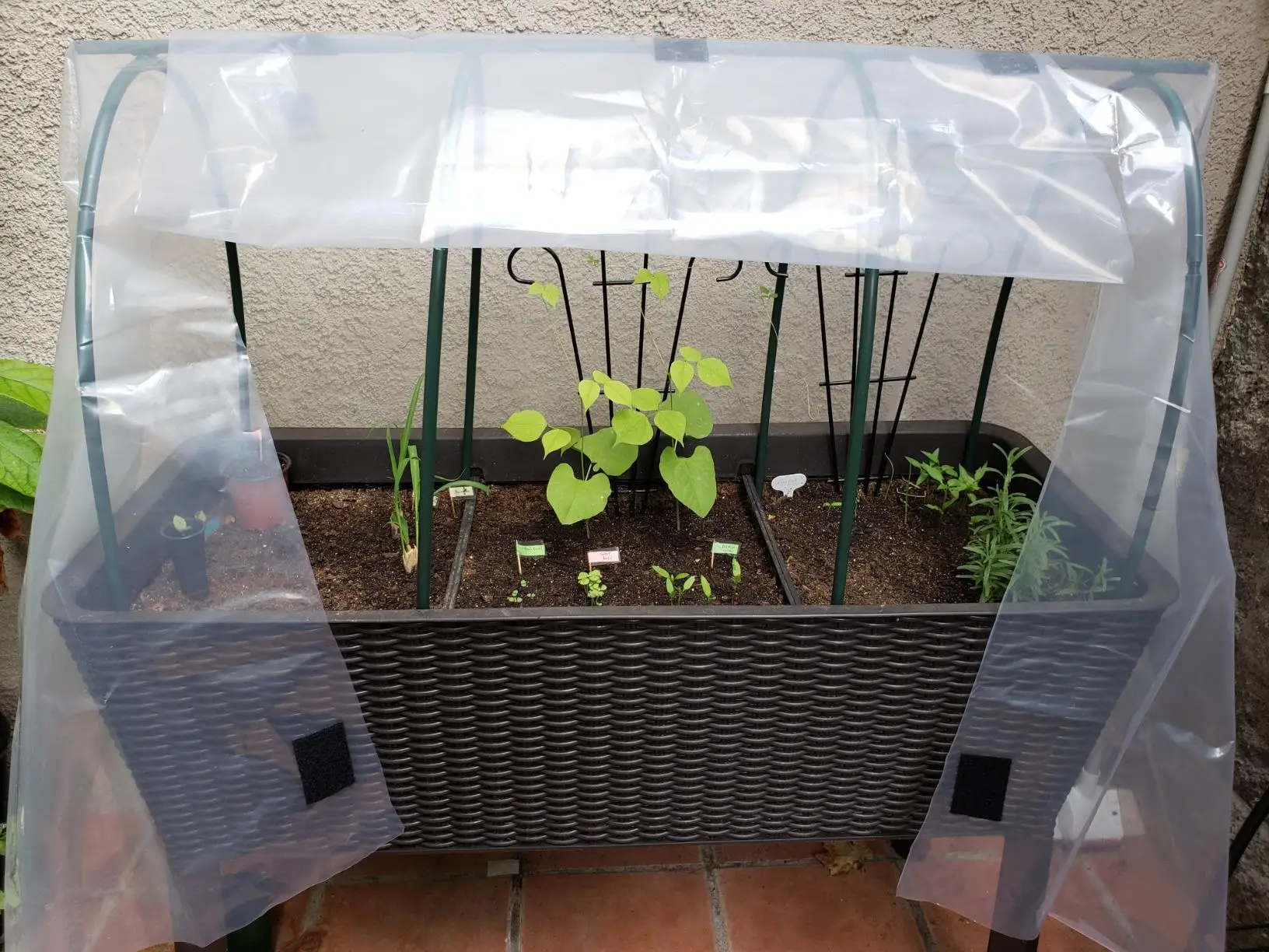 Vegetable planting greenhouse bracket vegetable mini greenhouse set vegetable protection rack