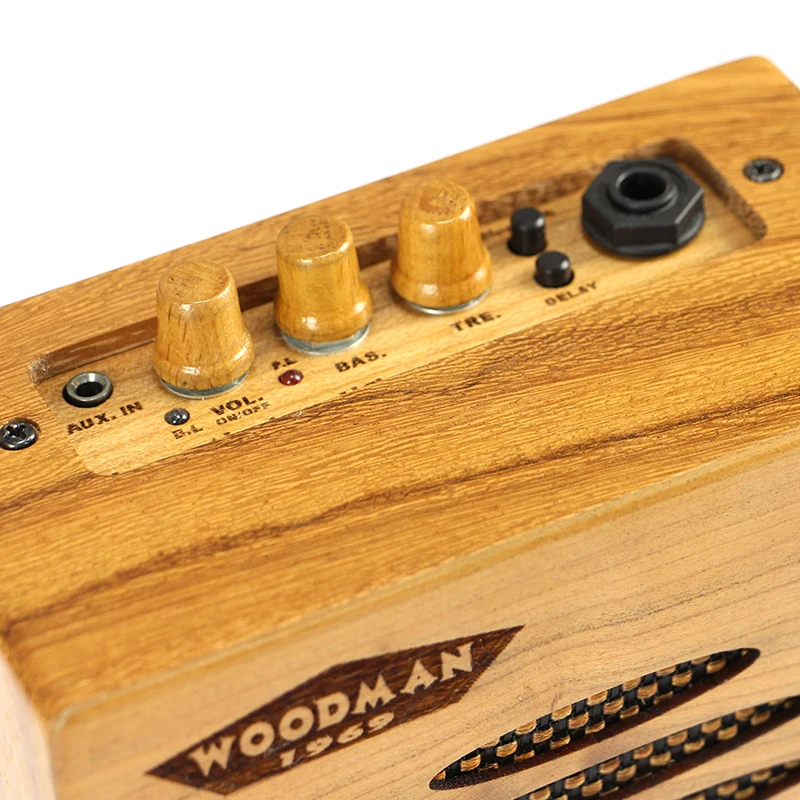 Solid wood compact portable  15w rechargeable acoustic guitar speaker