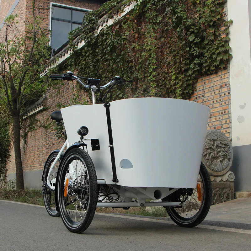 New Design Velomobile Trike Electric Cargo Bike Electric Driving Type