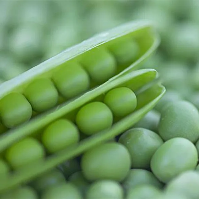 
Advanced equipment carton packing crop frozen vegetable green peas 