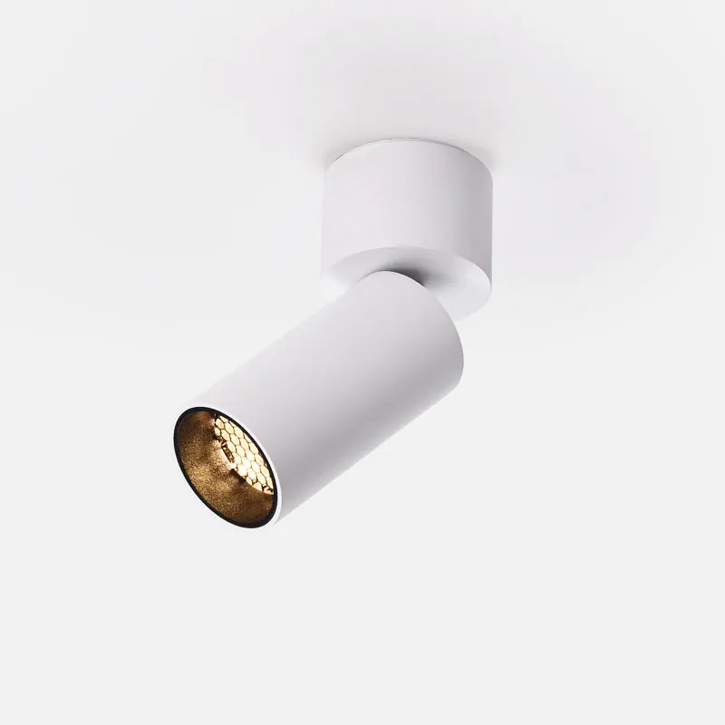 LED Ceiling Downlights 3W 6W 10W MINI Design Surface Mounted Spotlight Suitable For Hotel Lights LED Downlight fixtures