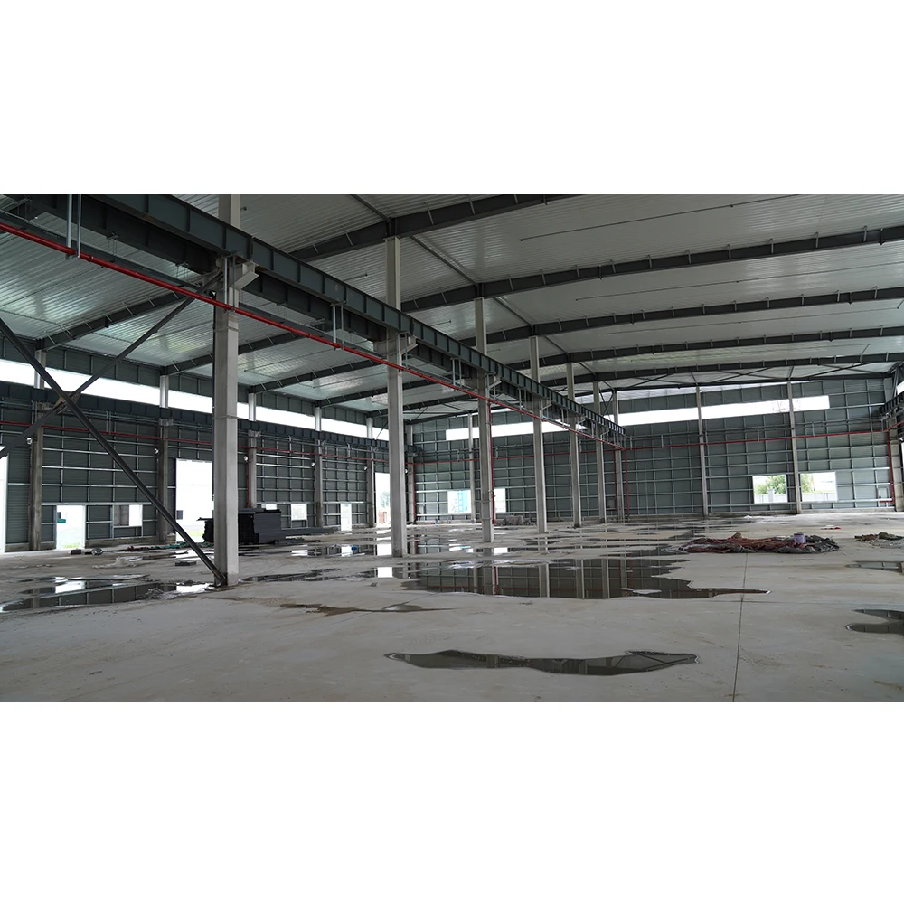 Prefabricated Metal Factory Hangar Hall Building with free design