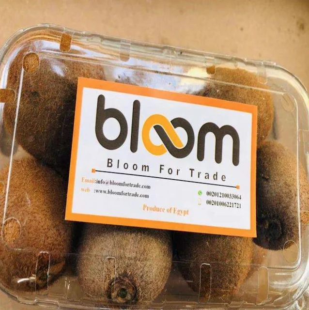 Kiwi fruit for importing top noch