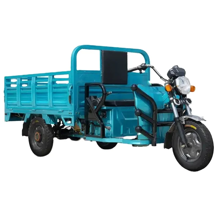 2024 Factory Direct Best-Selling 800W 60V Electric Pedicab Popular Rear Hub Motor Passenger Tricycle with Integrated Battery