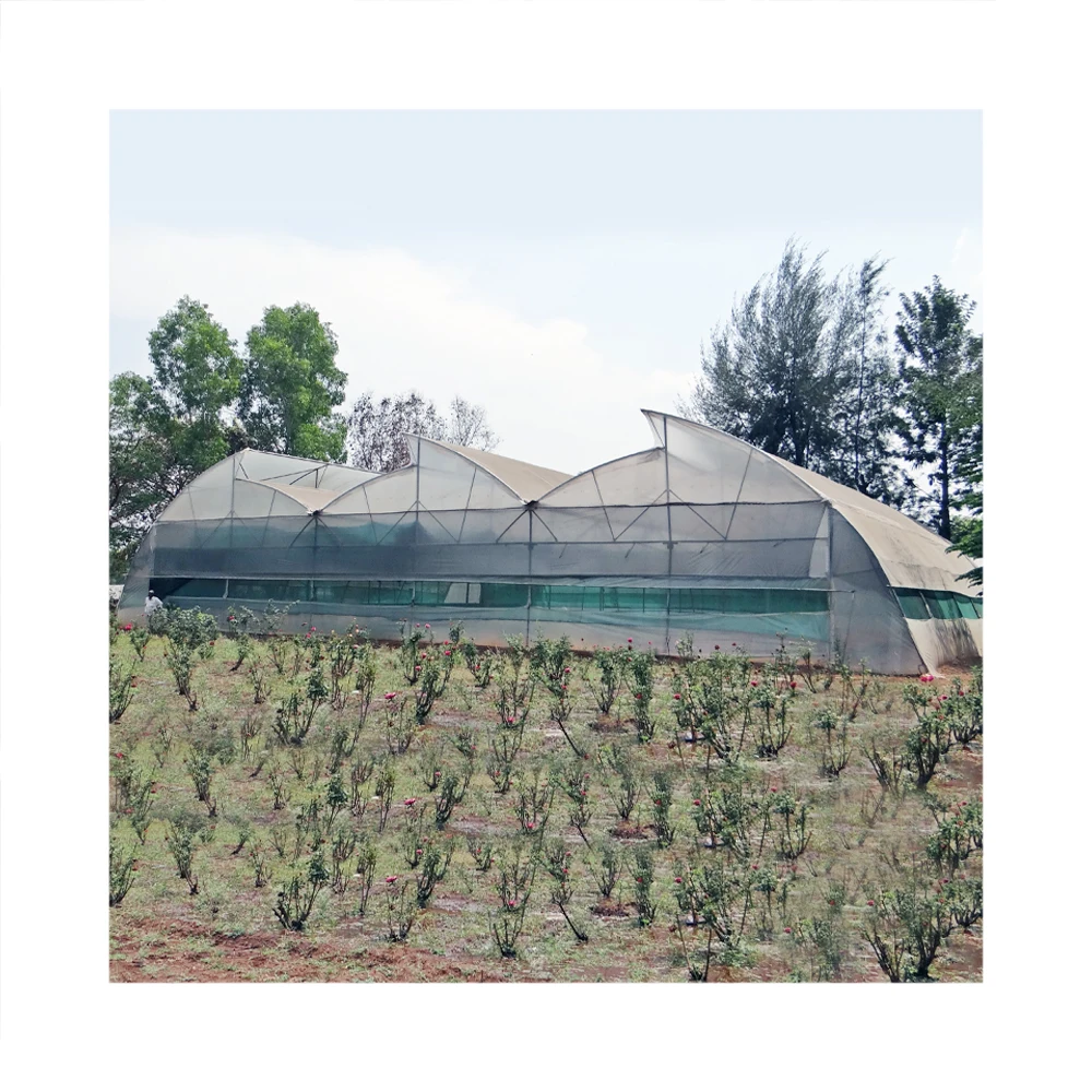 Flim tunnel horticultural green house for farming  Fruit & Vegetables Small Agricultural Greenhouse