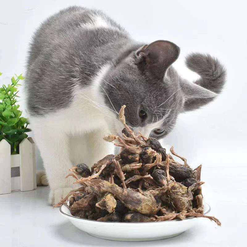 Pet Freeze Dried Series 100% Natural Pure Meat High Protein Low Fat Dog Cat Chicken Duck Salmone Quail Food Treats