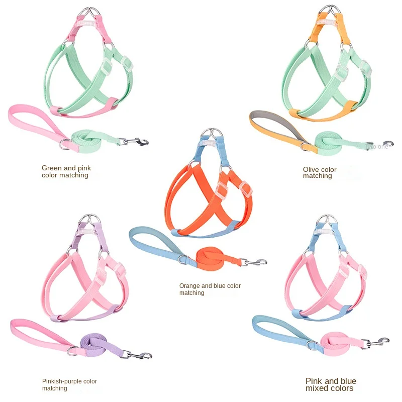 Fashion contrast color pet leash macaron color matching puppy cat chest strap collar set explosion-proof red walking dog rope