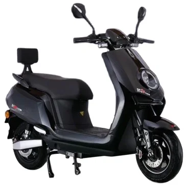 Factory Direct Sale  New Style1500W Two Wheels Fat Tire Electric Scooter Racing Electric Motorcycles