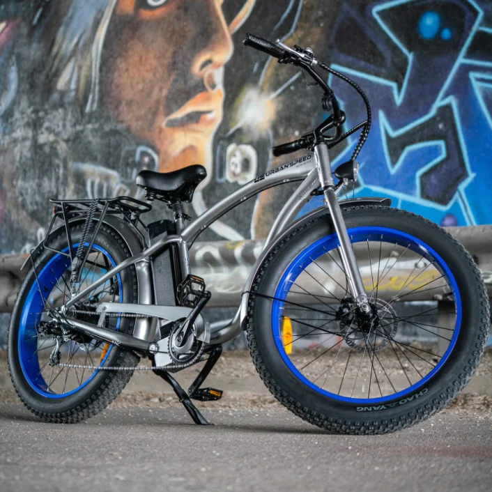 Ristar real EN15194 European CE ebike 36v 250w pedal assist electric fat tire step over bicycle popular style original factory
