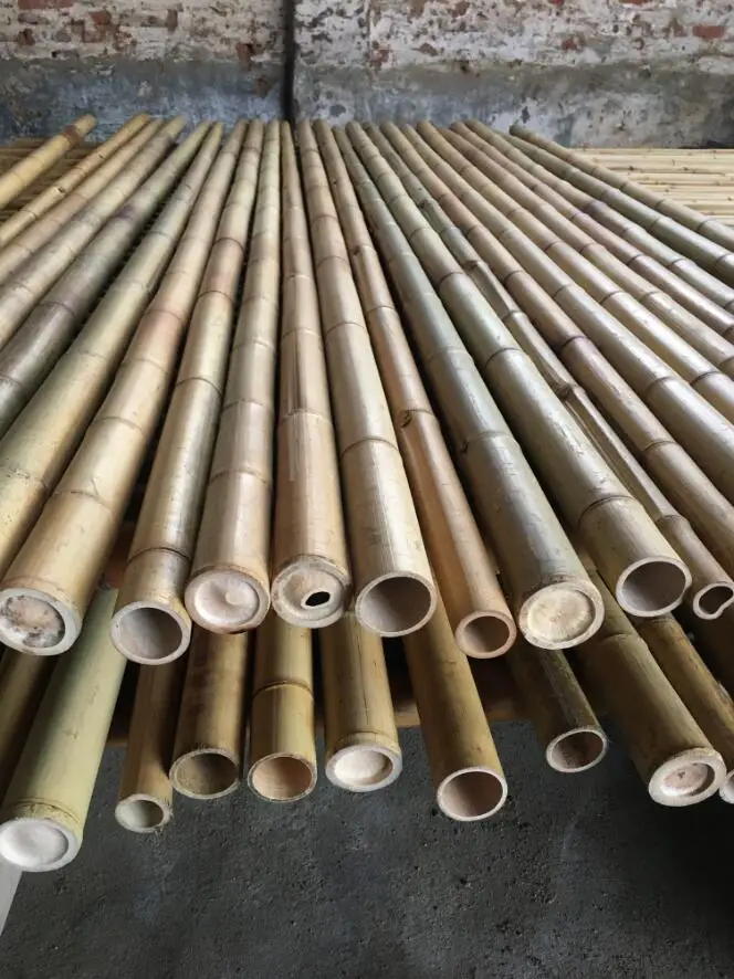 Moso bamboo poles for construction