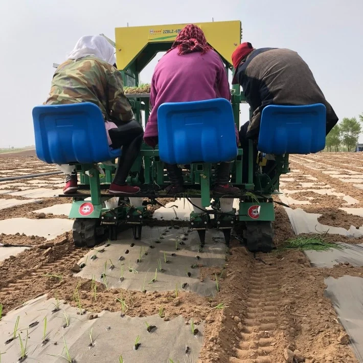 
production 12 row automatic onion transplanting machine onion cauliflower planting machine sell peony transplanting equipment 