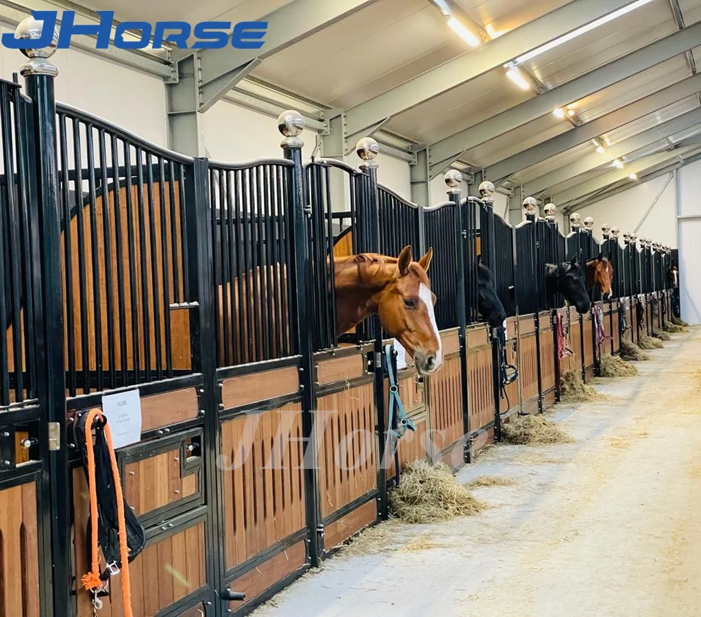 Eco-Friendly Innovative Stables for Horses with Advanced Design for Optimal Comfort