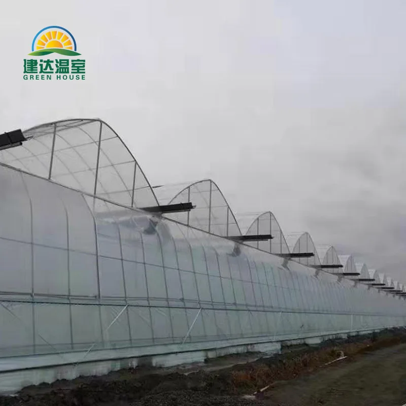 made in china SUNSGH greenhouse low price Multi-Span Agricultural PO film greenhouse china green house