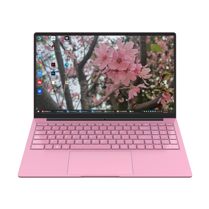 Supplier Laptop Computer 12GB DDR4 RAM 256GB SSD Hard Drive Pink Color Intel Core Celeron N5095 Laptops
