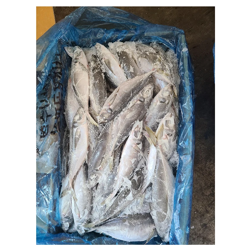 Korean High Quality Wholesale Frozen Seafood Fish Horse Mackerel