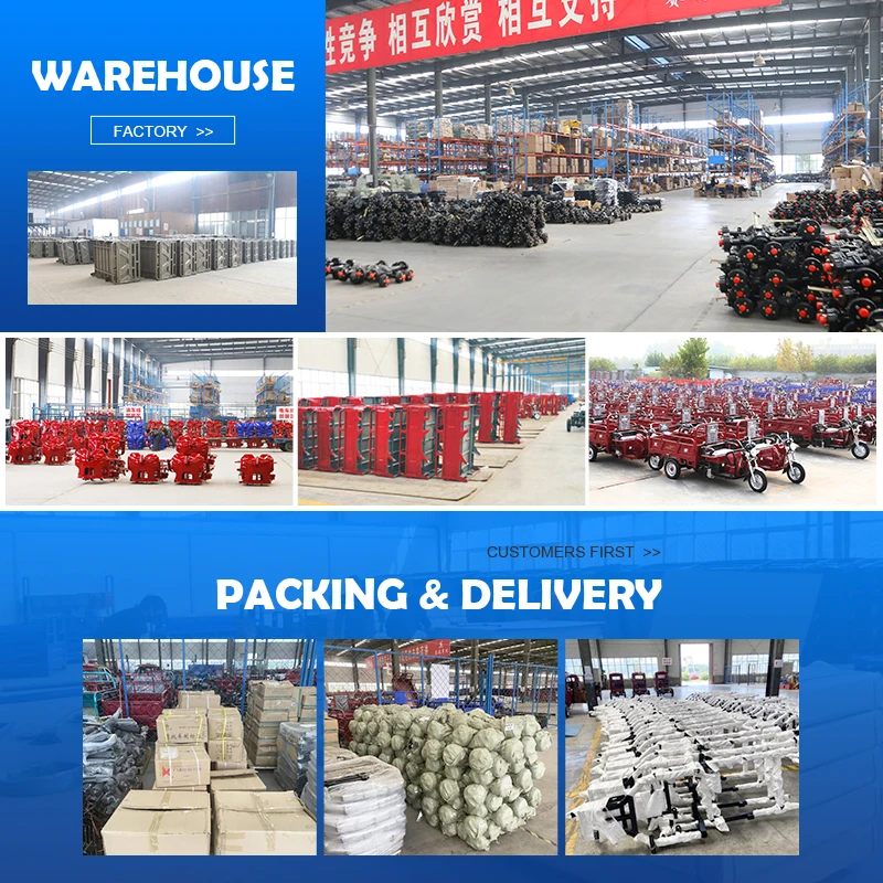  Motorized Tricycles for Adult Three-Wheeled Motorcycle China three wheel