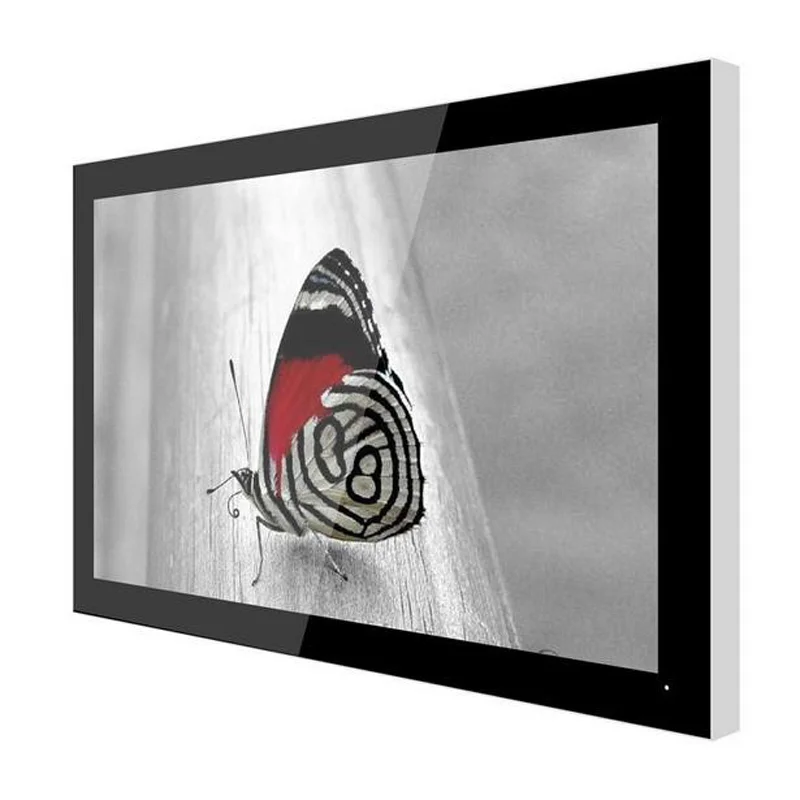 
55 inch indoor Icd Stand-alone digital Advertising Player 