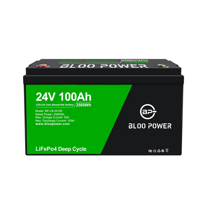 Bloopower Deep Cycle 12v 24v 100Ah 200Ah 300Ah Rechargeable lifepo4 lithium ion battery For RV And Solar Energy Storage