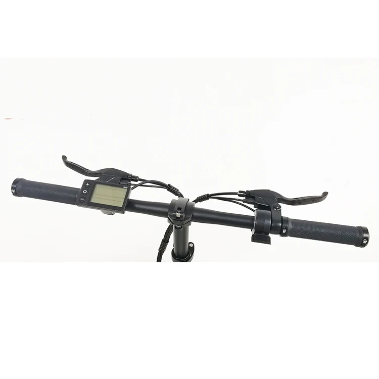 RAINTUNG Ebike Folding Bicycle 20 Inch Folding Electric Bike 250W Portable Electric Foldable