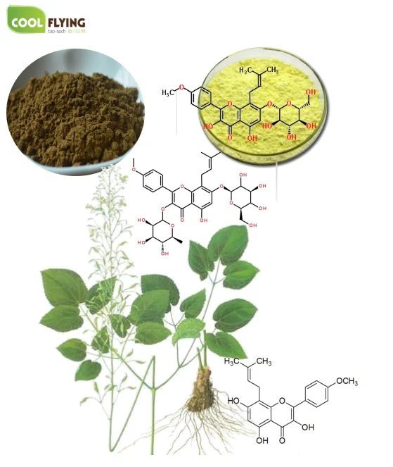 
Lower Cost and Real Icaritin 98% from Horny Goat Weed Extraction 