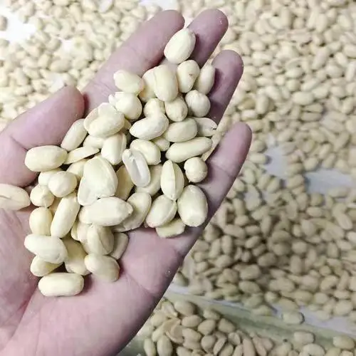 Высокое качество сушеные китайские ядра арахиса Бланшированные ореховые закуски по низкой цене пищевой