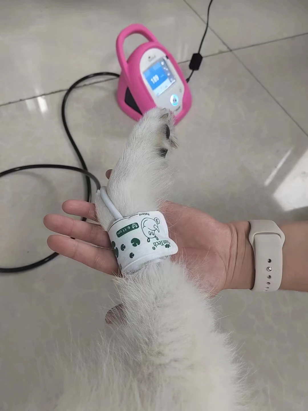 Vet20 Vet25 Vet 30 portable hematomanometer Digital Pets Animal Veterinary Blood Pressure Monitor