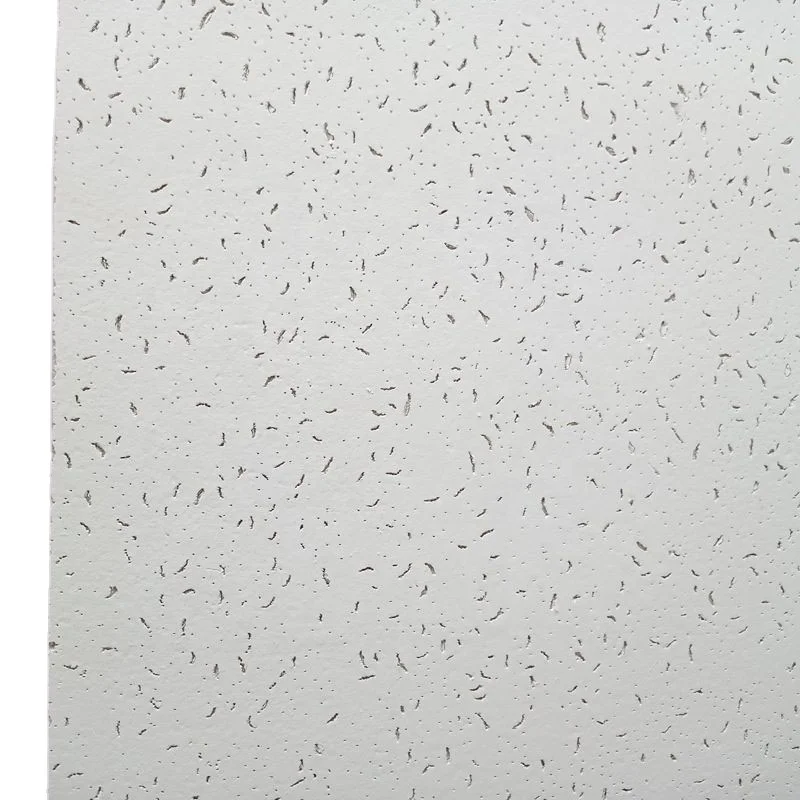 House Ceiling Design, Ceiling Tile 60x60, 4x8 Ceiling Panels