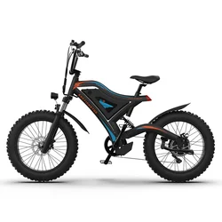 New CE 500 Watt 20 Inch Fat Tire Lowrider Electric E Bike With Big Wheel
