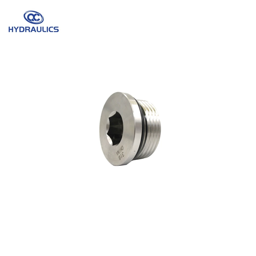 Parker standard stainless steel hollow hex plug for hydraulic parts