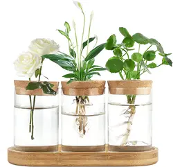 Plant Propagation Terrarium Desktop Glass Planter Station Water Planting Glass Vase with Lid and Wooden Stand for Propagating