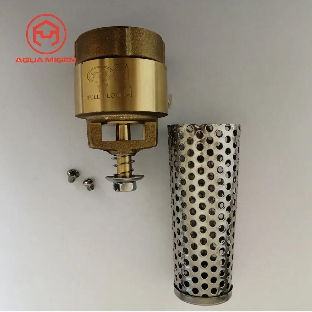 200 PSI 3/4 in FIP BSP/NPT Thread Brass Foot Valve for Jet Well Pumps