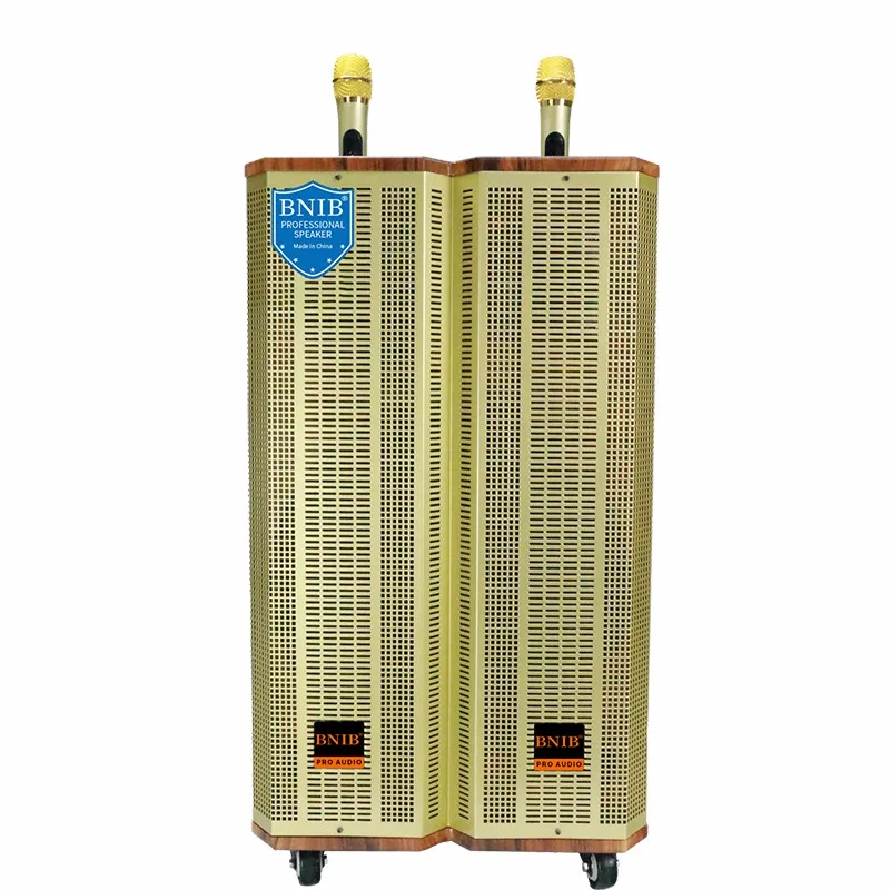 2022 New Arrivals Active Speaker Karaoke Speaker Outdoor Speaker Wooden Sound System ODM OEM