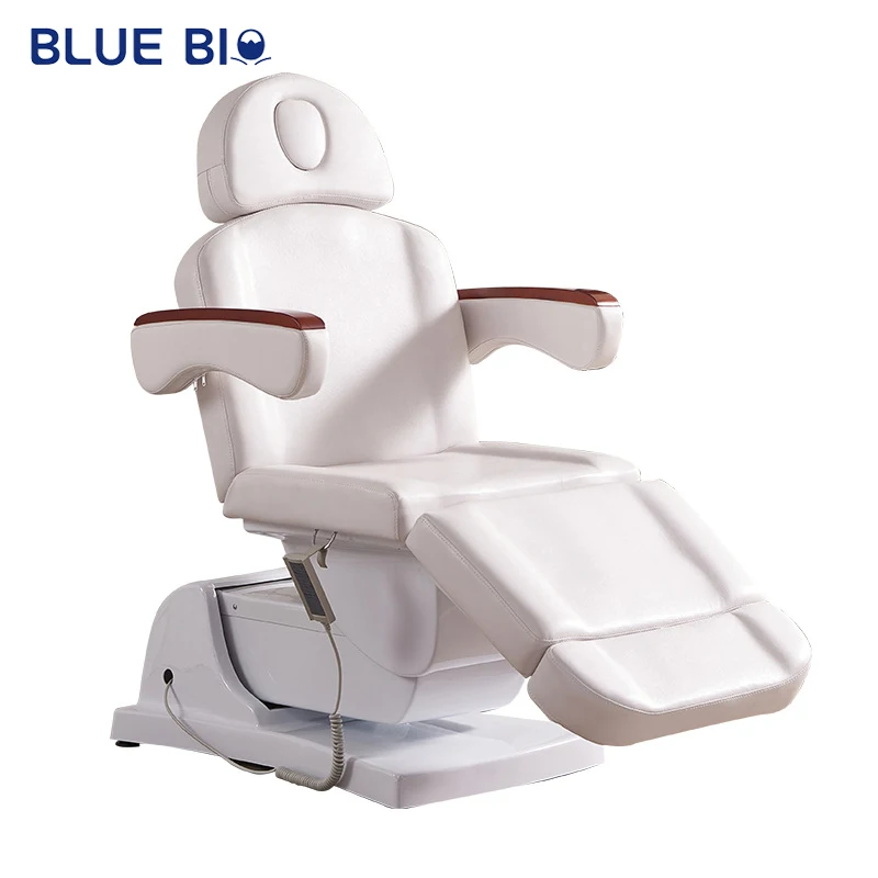 Professional Electric Head Spa Massage Table Bed Aesthetic Bed Chair Beauty Facial Bed