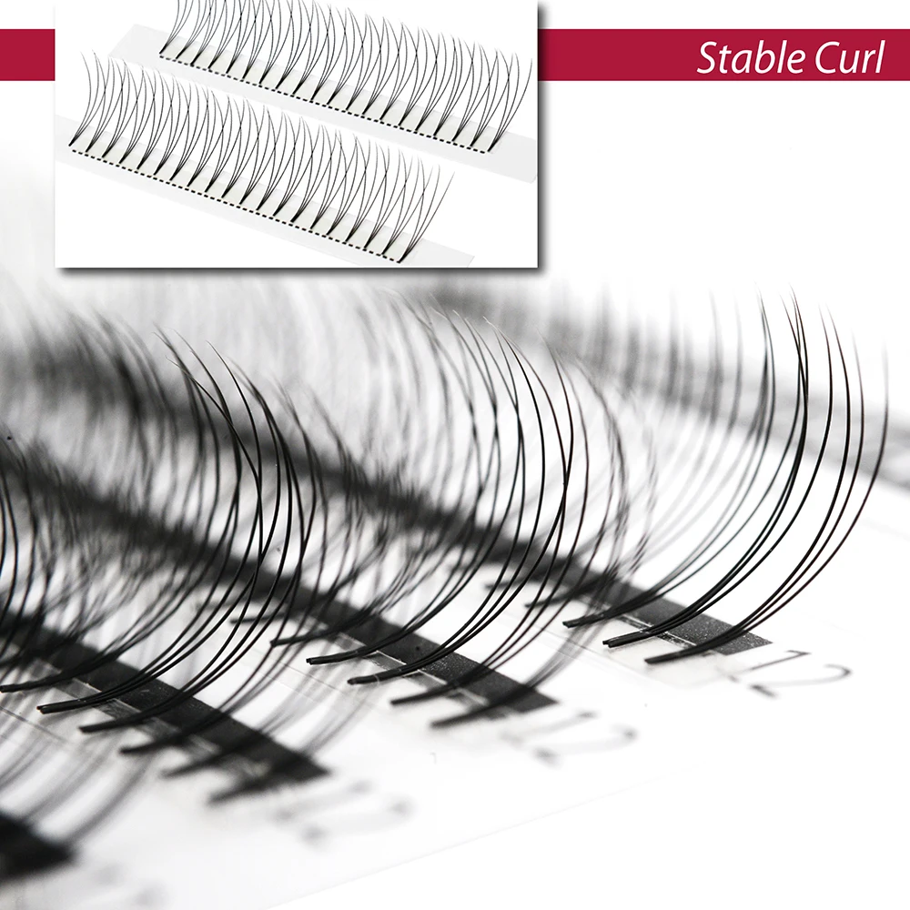 LashPlus Hand Made Pbt Premade Short Stem Lashes XL 6D Premade Volume Fans Eyelash Extension Supplies Private Label