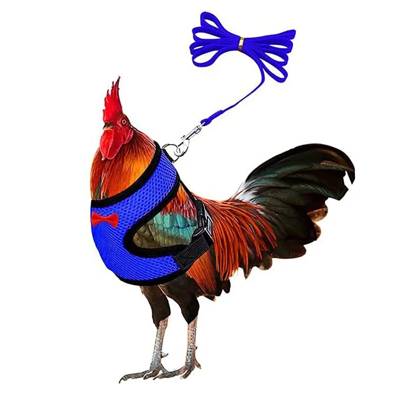 OEM Chicken Duck Goose Handle Nylon Adjustable Soft Padded Strap Comfortable Harnesses harnais chien Breathable Dog Harnesses