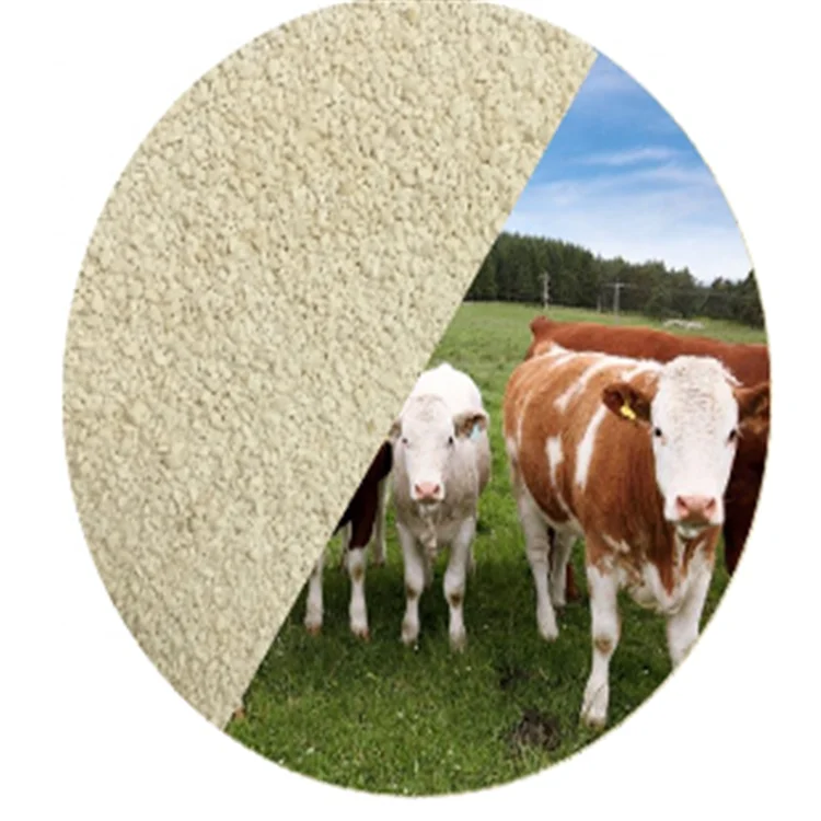 Reliable supplier Feed Grade L Lysine