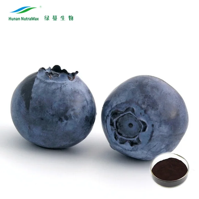 Plant Extract Bulk European Bilberry Extract Powder 4:1 to 20:1