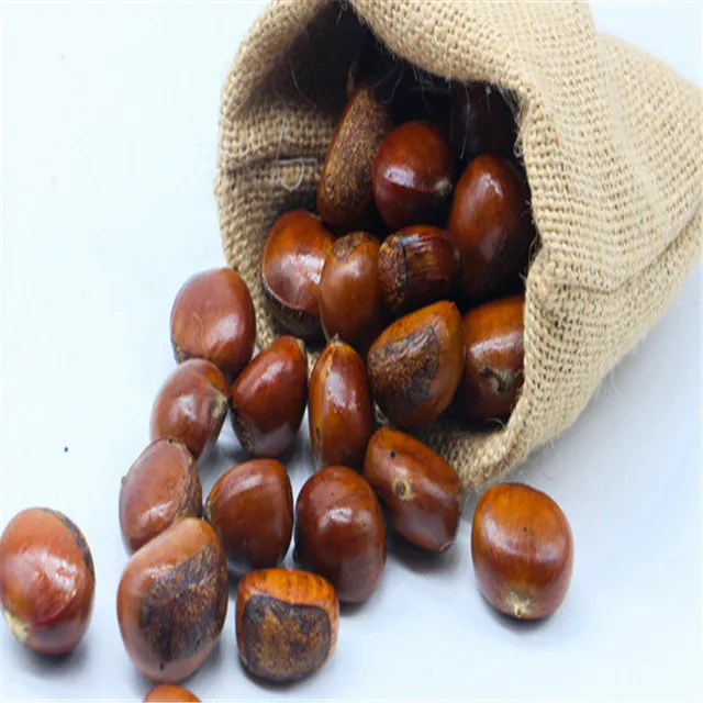 2021 New Organic Fresh Chestnut