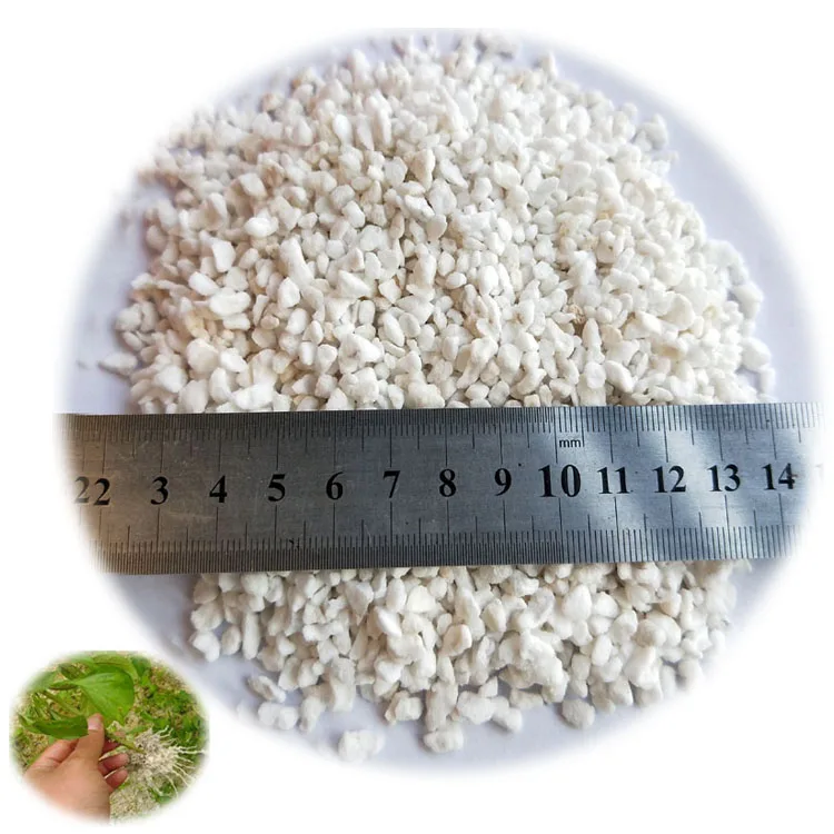 Сельское хозяйство