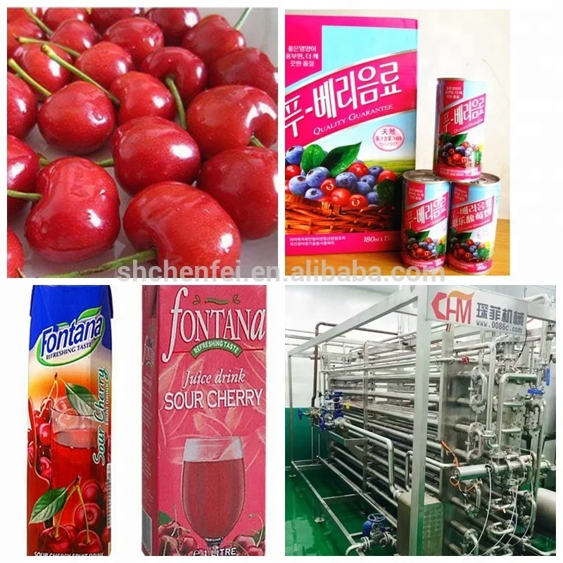 Industrial canned tomato canning line tomato paste making machine production line