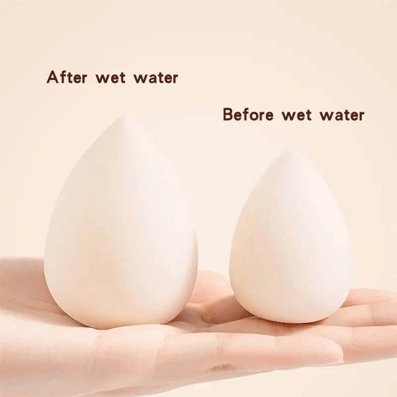 Makeup Sponge
