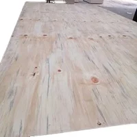 Modern Design E1 CDX Grade Pine Face Plywood with Poplar Core 3-Layer Cheap Sheet for Outdoor Use