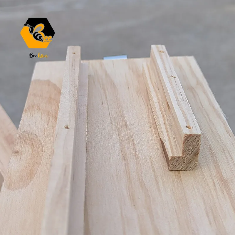 Observation Beehive with Carry Handle Ventilation Holes for Teaching in New Zealand Pine