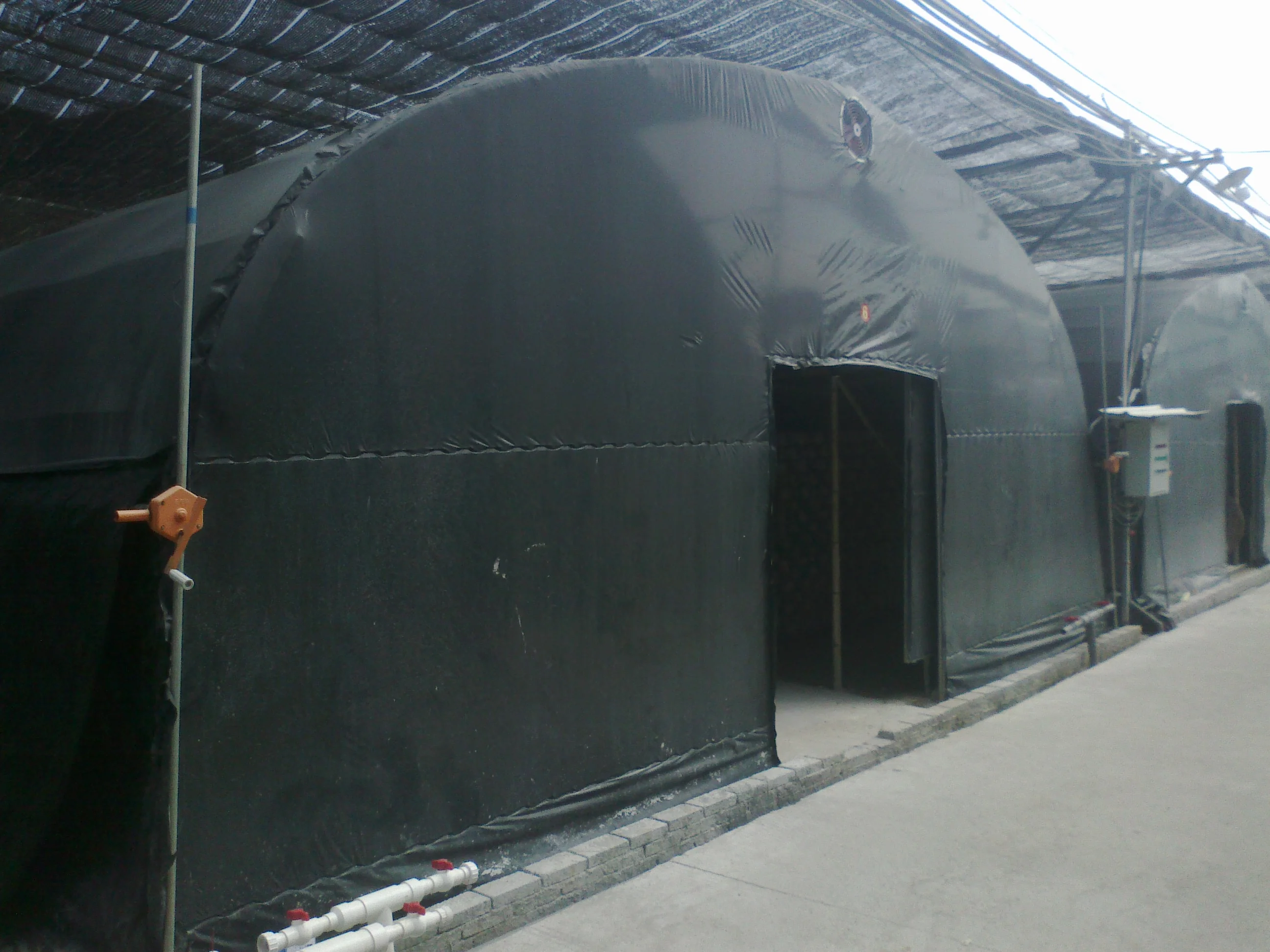 Mushroom Growing Equipment in Agricultural Greenhouse Farm with Plastic Film Covering