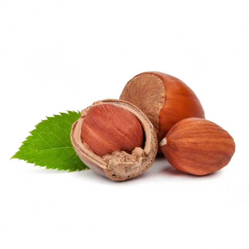Natural Essential Oil Fragrant and Warming Oil enriched with Vitamin E Radiance and Shine Hazelnut Essential Oil