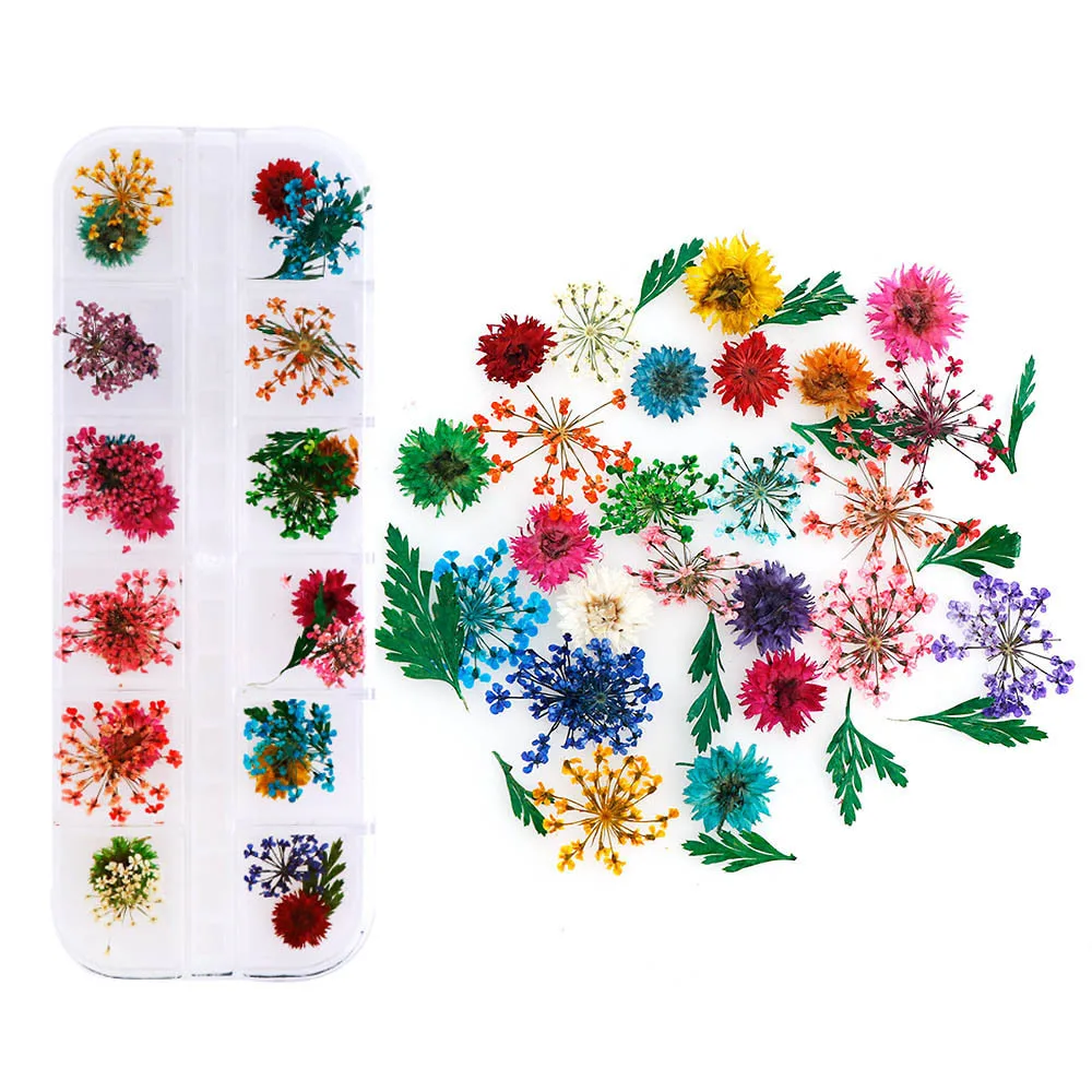 High Quality Various Combination Packages Natural Dried Flowers Pressed Flowers for Dried Flowers Nail Art