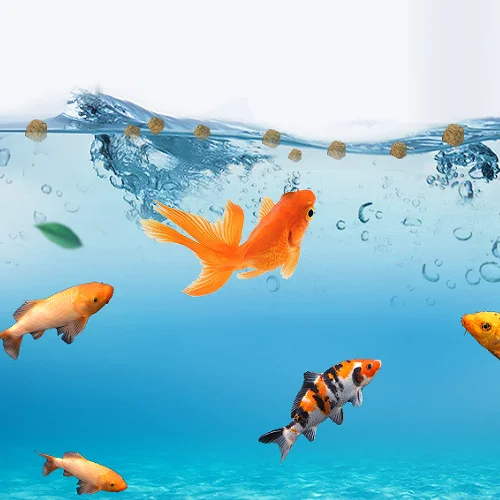 Freeze Dried Brine Shrimp Tropical Fish Food Frozen Brine Shrimp