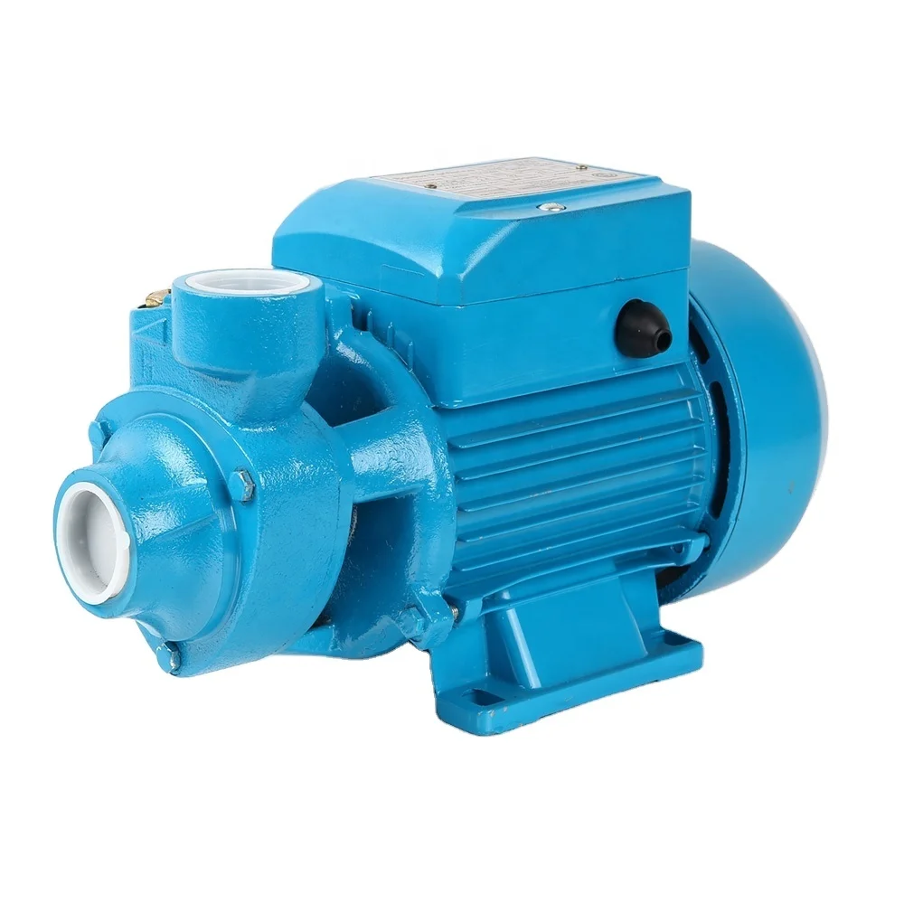 RUIQI Factory Wholesale QB60 0.37kW Electric Motor Pumps Peripheral Vortex Pompa Houseuse Pressure 1/2 hp Water Pump